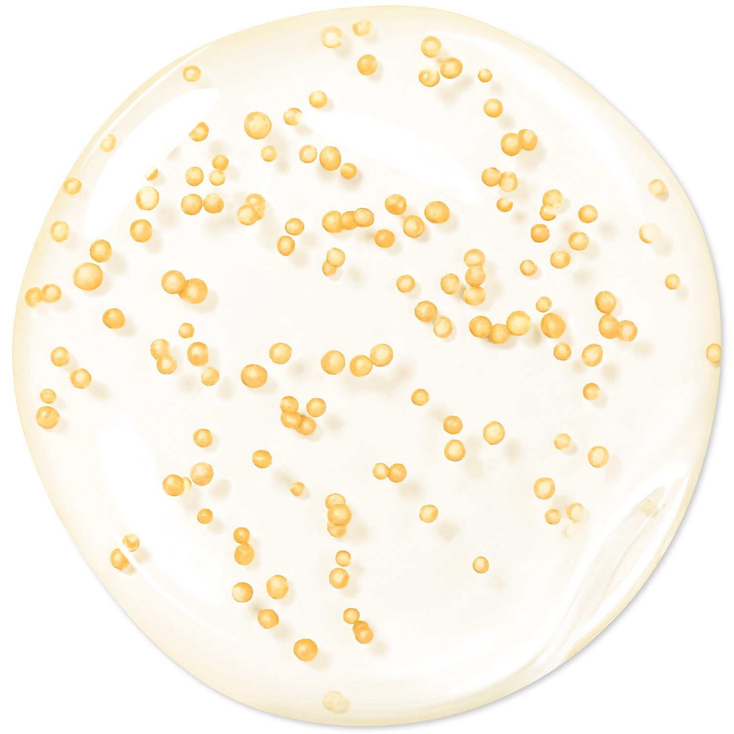 GUERLAIN Abeille Royale Sérum Huile En Eau Jeunesse 02