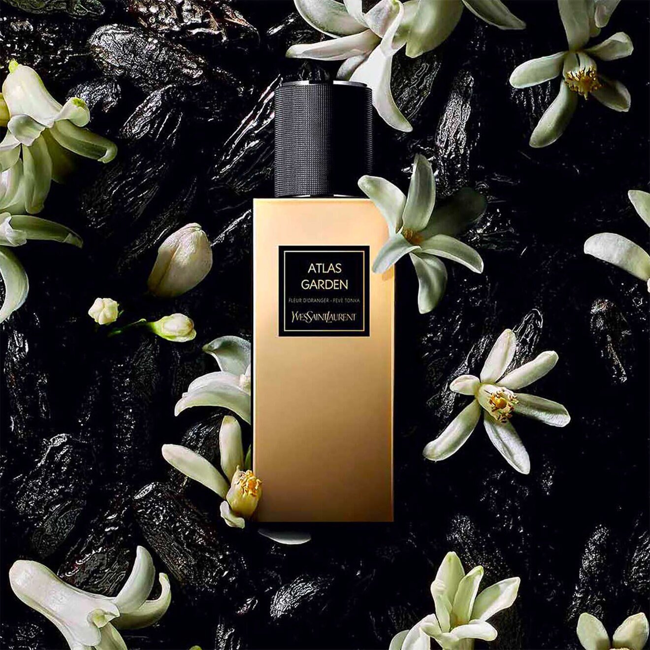 YVES SAINT LAURENT Atlas Garden Eau De Parfum 02