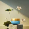 The Ritual Of Seshen Skin Revive Glow Mask 02